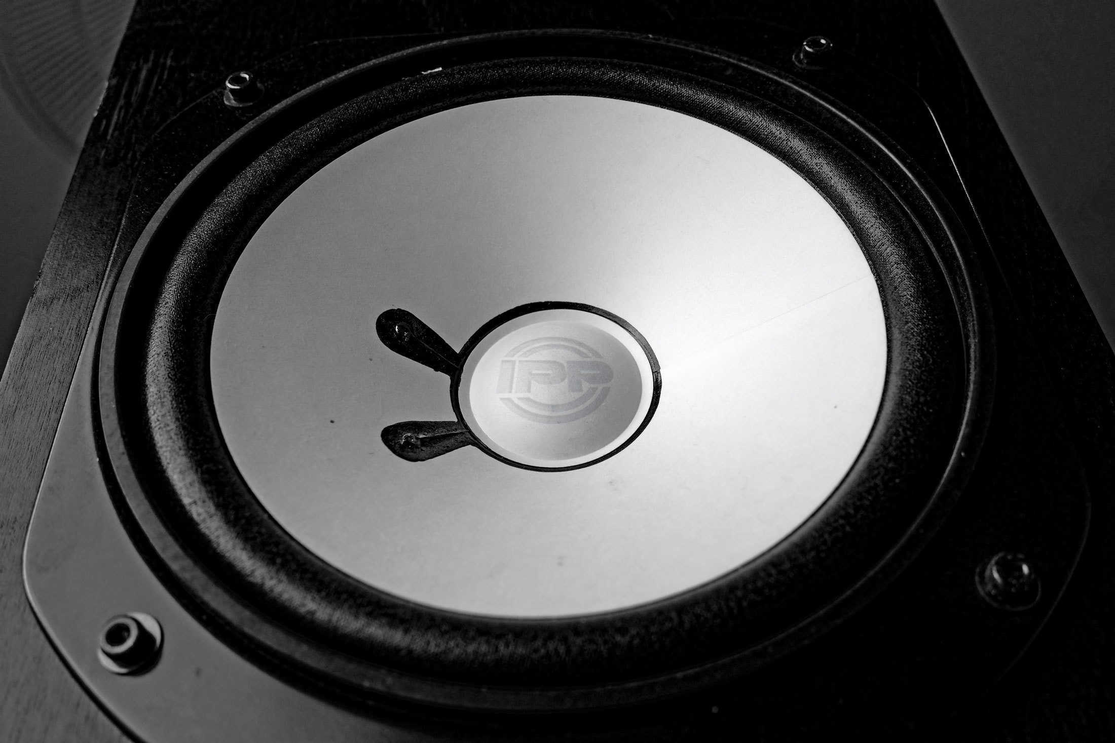 Speaker-header-ipp-sized