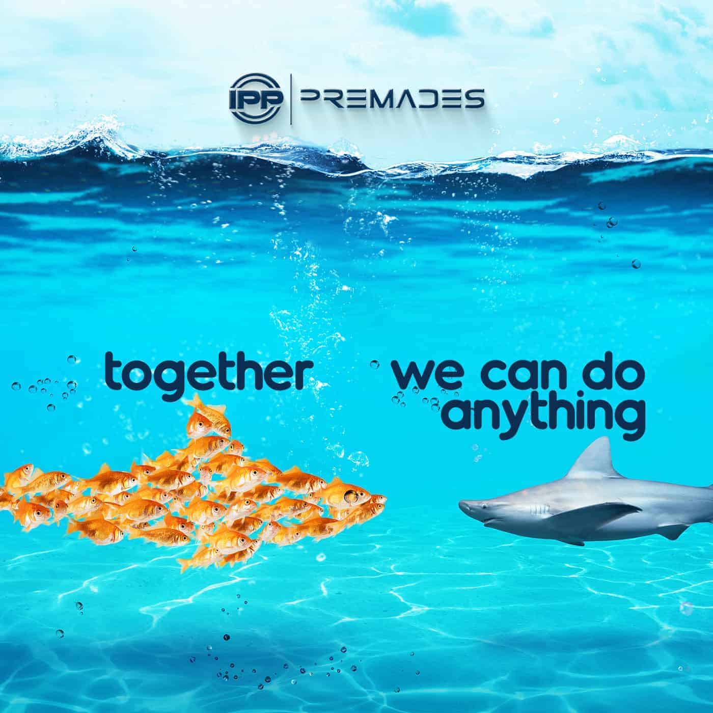 Premade Mix - Together We Can Do Anything [2:30]