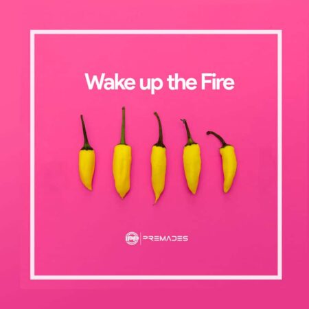 WAKE UP THE FIRE