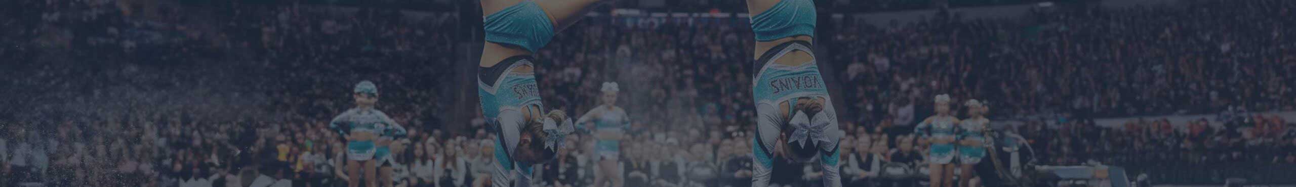premade cheer mixes alldur banner