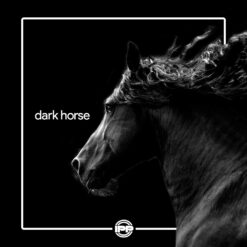 Dark Horse cheer mix with customizable voiceovers and sound effects for competitions and routines with a winning theme